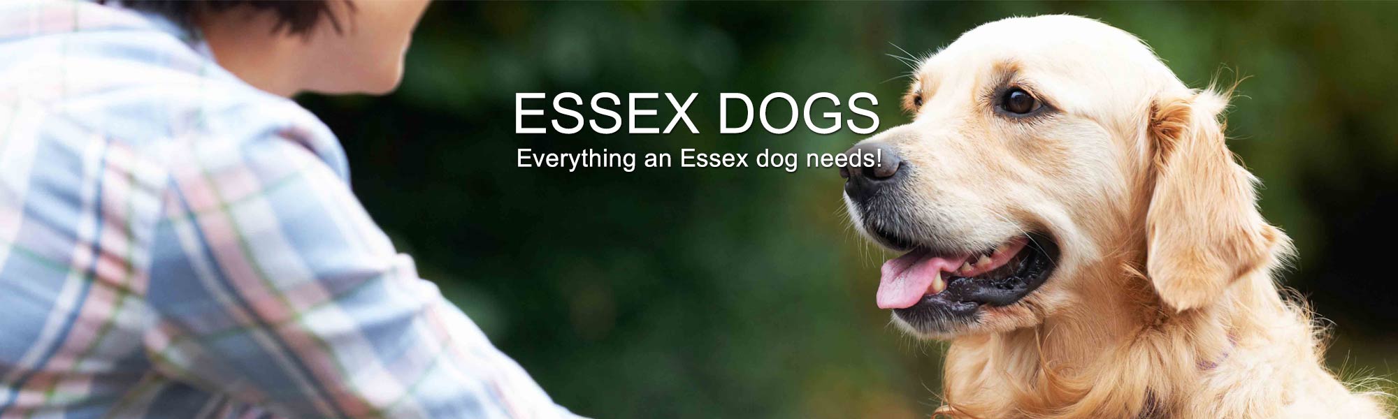 Essex Dogs Header