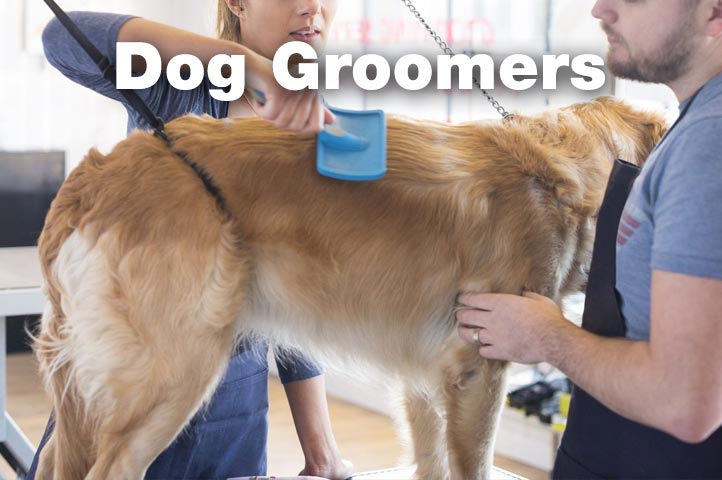 Essex Dogs - dog groomers in Essex