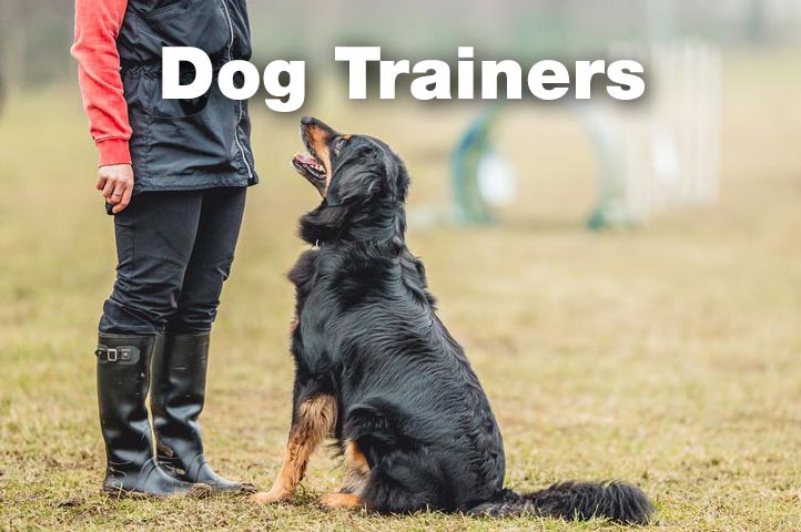 Essex Dogs - dog trainers in Essex