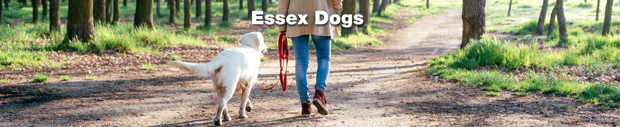 essex dogs book review