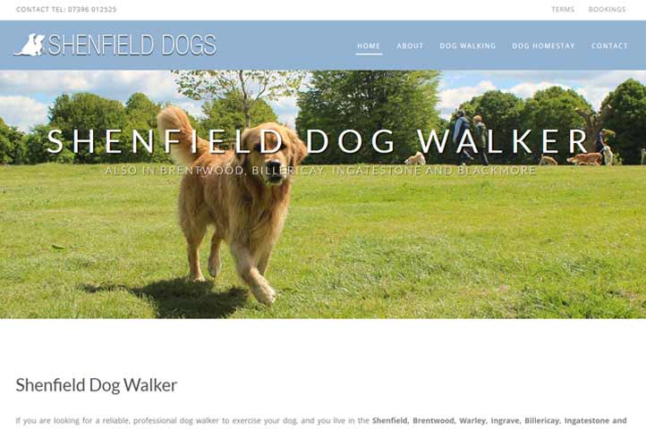 Dog walking hot sale website