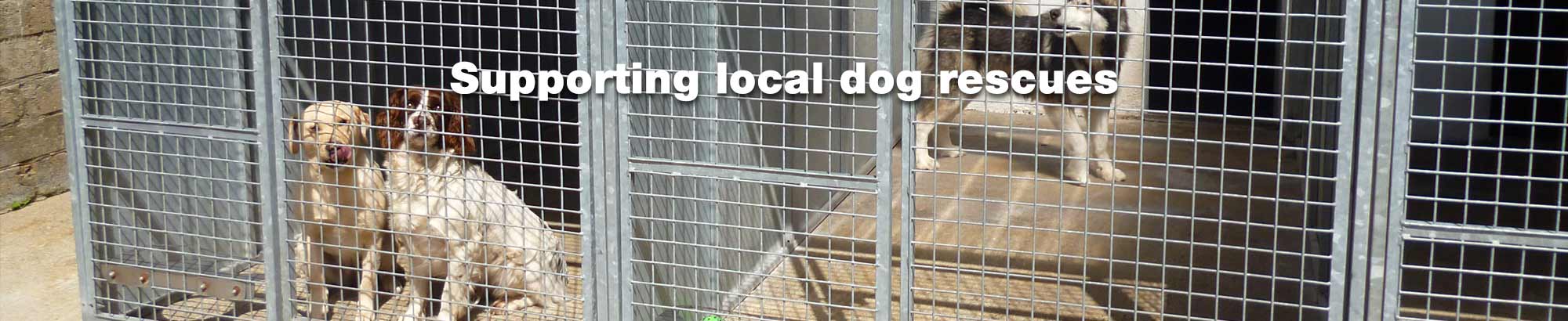 Support your local dog rescue centres Essex Dogs