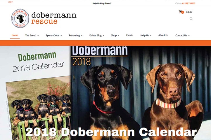Dobermann Rescue, Wickford Essex Dogs