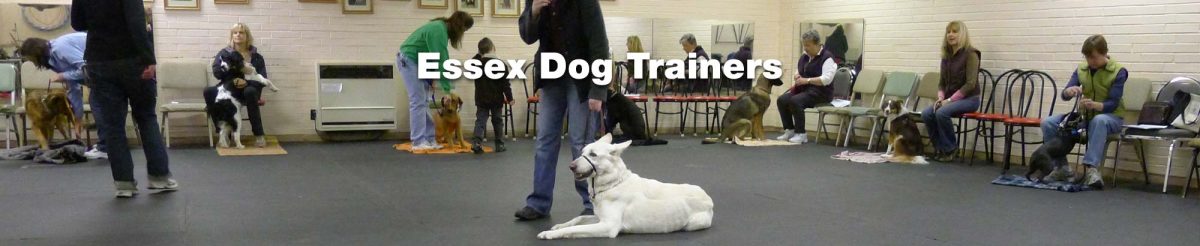 personal dog trainer near me