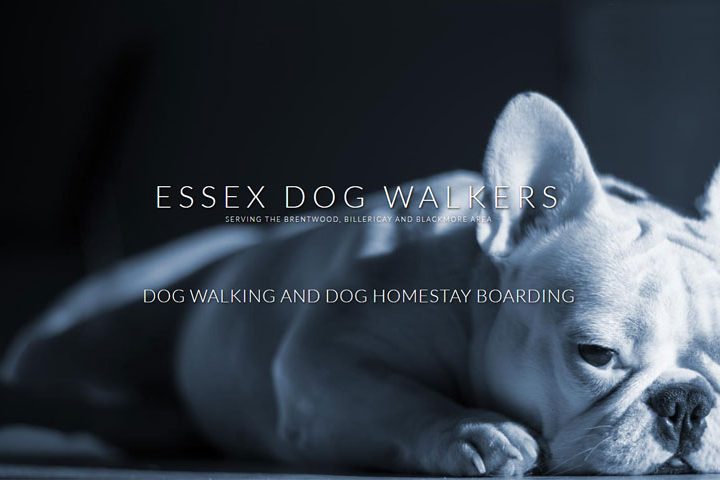 Essex Dog Walking, Brentwood