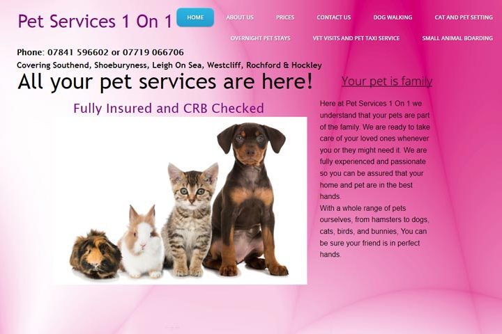 Pet Services 1 On 1, Southend