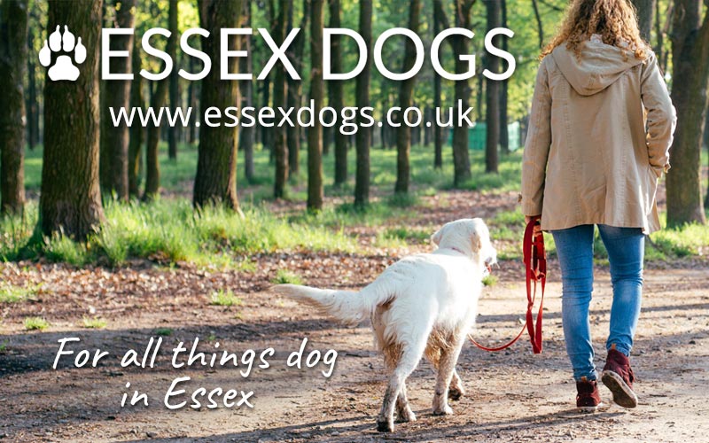 essex dogs by dan jones